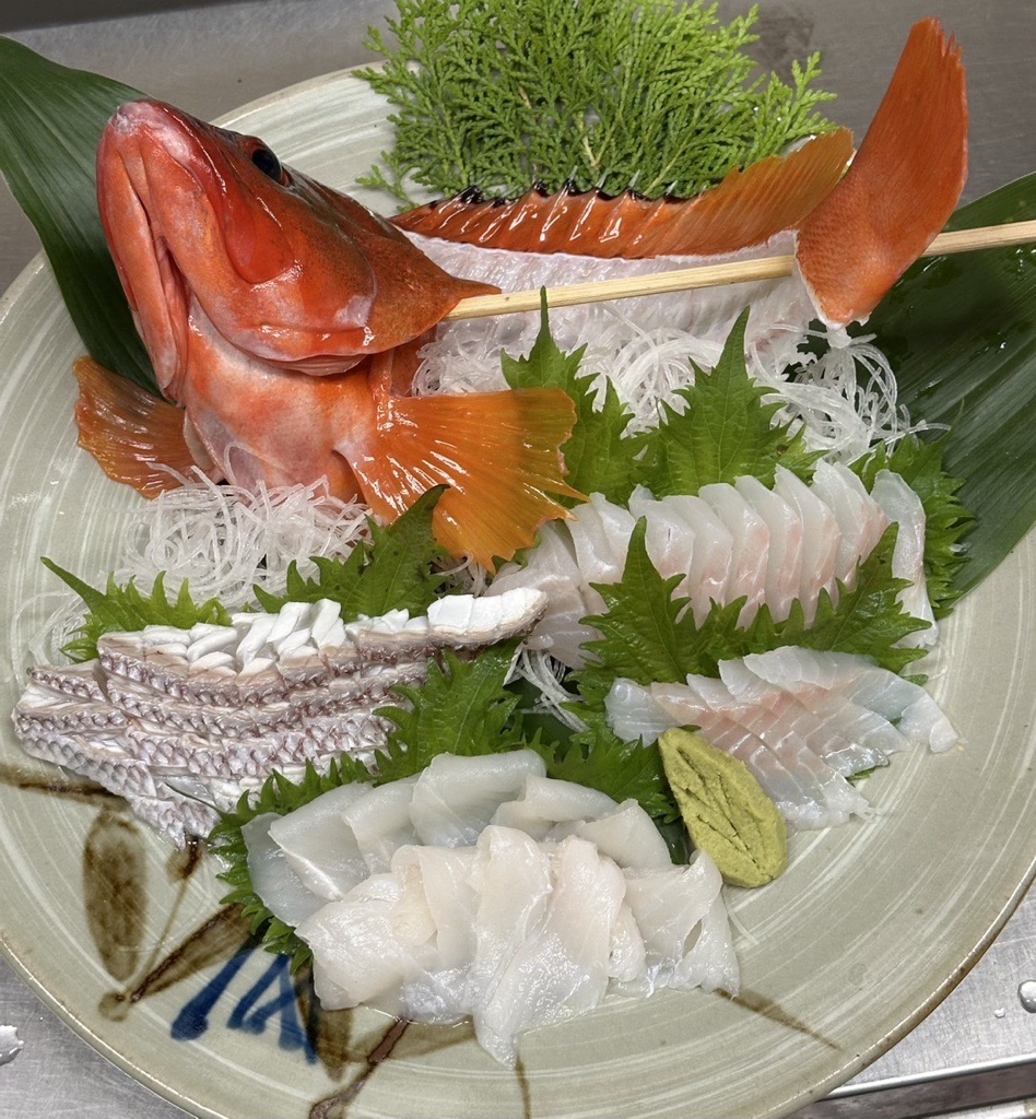 魚の写真
